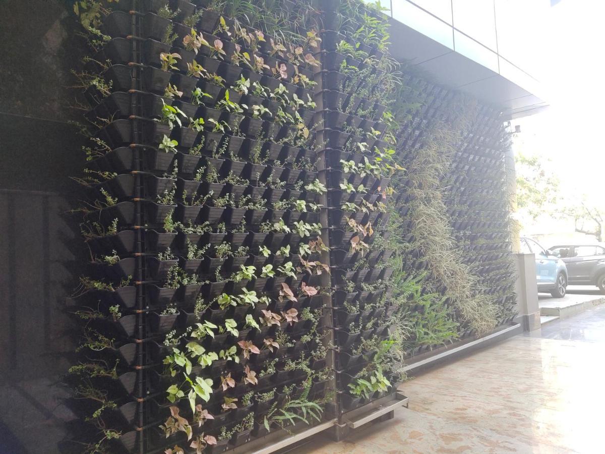 Delhieez - A Boutique Hotel New Delhi Extérieur photo